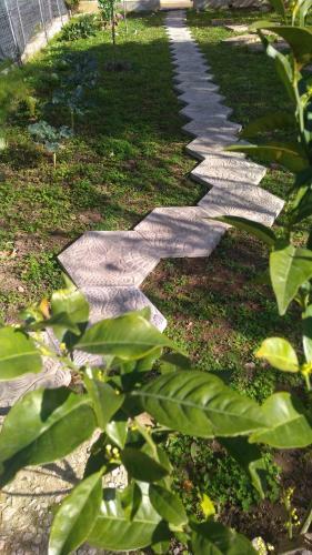 Bed & Breakfast Lo Spicchio