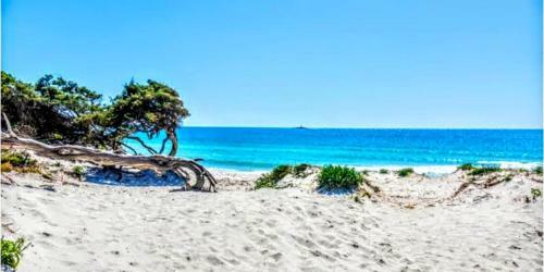 Bed & Breakfast L'anfora