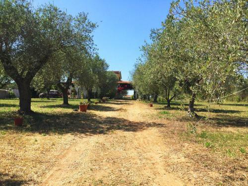 Sa Pr�nda - Favolosa Villa Con Patio E Uliveto