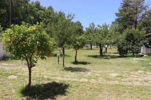 Hostal Villa Lughente