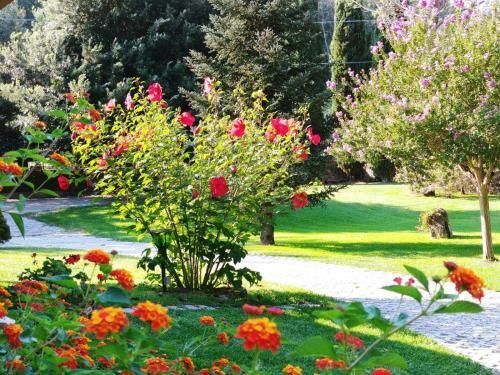 Bed & Breakfast Villa Lucilla