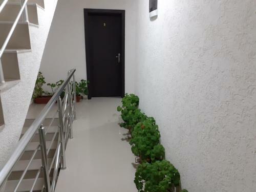 Hostal Apartments Filemi