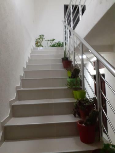 Hostal Apartments Filemi