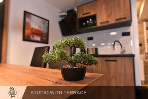 Apartamento Old City House