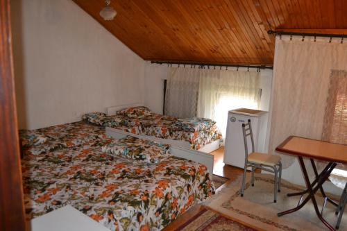 Hostel Valentin