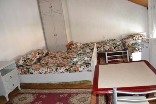 Hostel Valentin