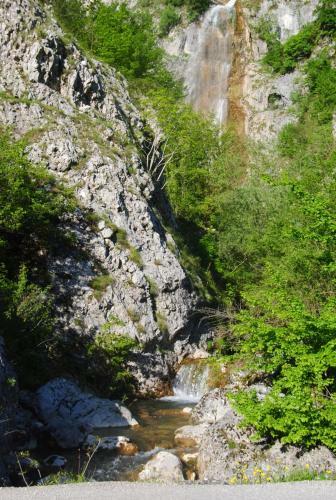 Hostal Detached House Milivoje