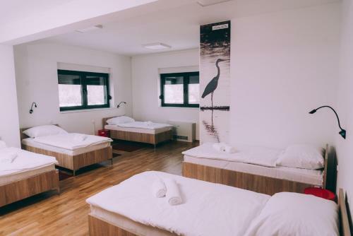 Hostel Beli??e