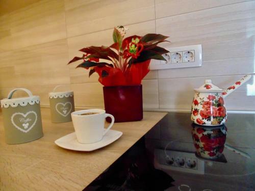 Apartamento Brnovic