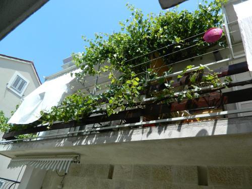 Apartamentos Mare