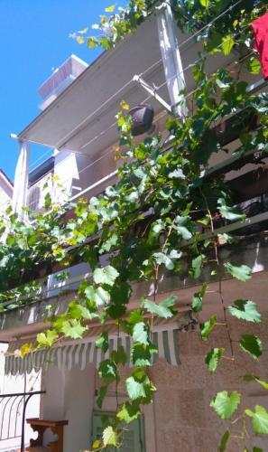 Apartamentos Mare