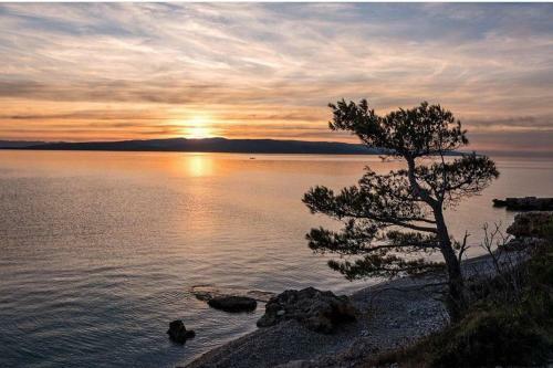 Apartman Maja