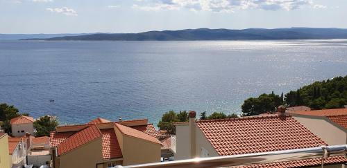 Apartments Karlo