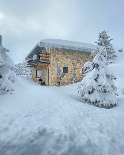 Villa 80 Kodra E Diellit