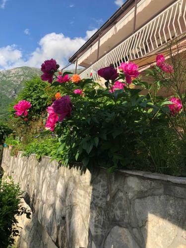 Apartman Ognjen