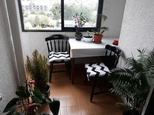 Apartamento View