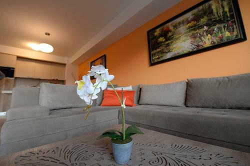 Apartamento Diva Capitol Luxury