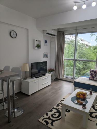 Blue Corner Apartment