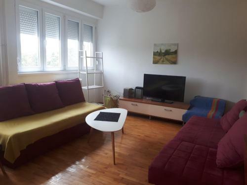 Viva Apartment