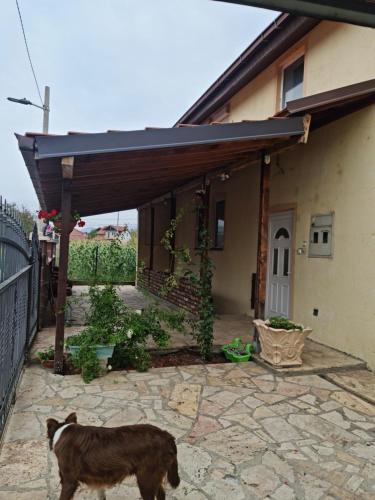 Apartamento Hous In Volkovo, Skopje