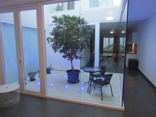 Apartamento 1 Flame Trees