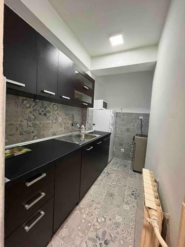 Piano Apartment With Garden In Aerodrom
