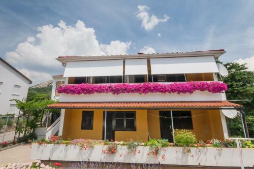 Apartments Surfinia