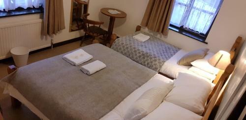 Hostal New Inn