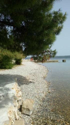 Apartamentos Arija