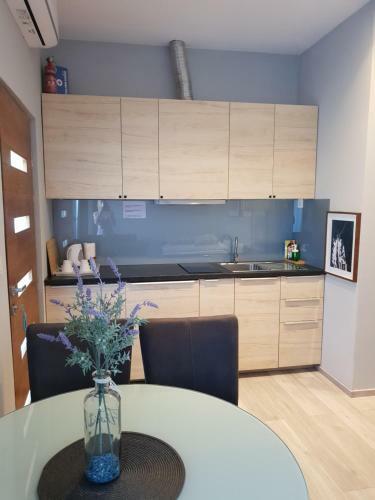 Apartmani Kameno Sidro