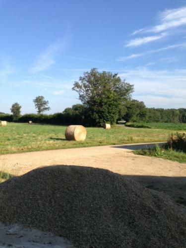 Bed & Breakfast La Foret