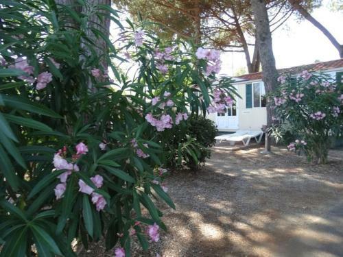 River Chalet 5p - Ligurie - Cinque Terre - Beach