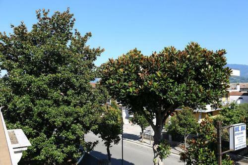 B&B Le Magnolie