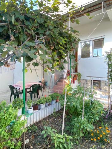 Apartmani Perovic
