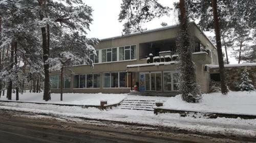 Apartments Daina