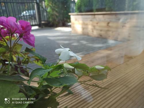 New Big Loft Apartments Jurmala With Free Secured Parking