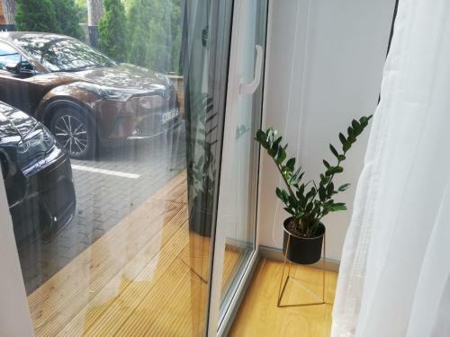 New Big Loft Apartments Jurmala With Free Secured Parking