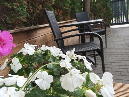 New Loft Apartments Jurmala With Free Secured Parking