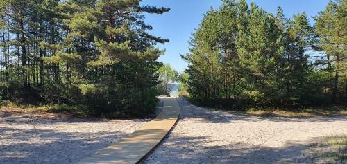 The Cat House Jurmala