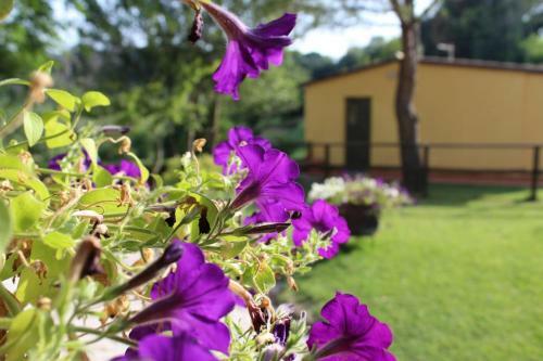 Bed & Breakfast Il Gelso Nero