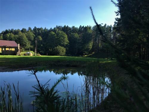 Barbaripolis Cottage In The Forest