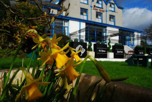 The Lion Hotel