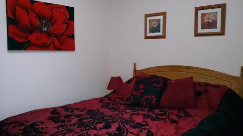 The Ivy Barn B&B