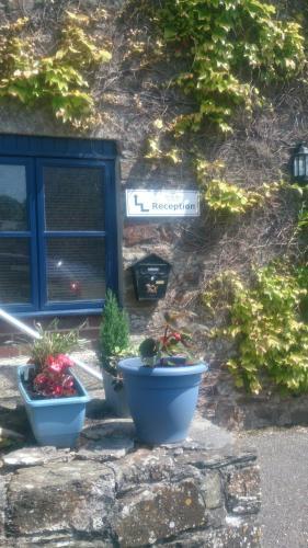 The Ivy Barn B&B
