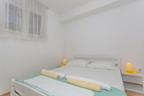 Apartment Dome