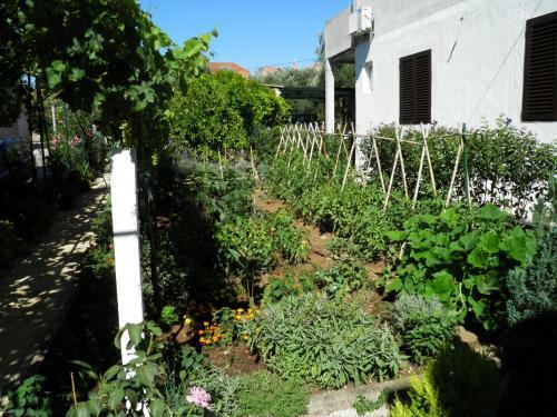 Apartman Mia Biograd