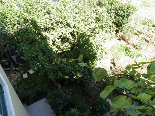 Apartman Mia Biograd