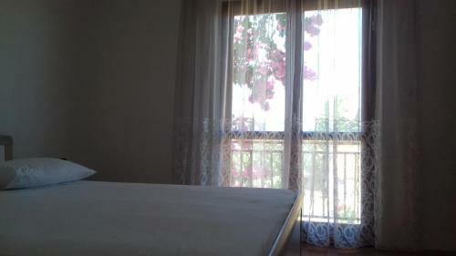 Apartmani Danica