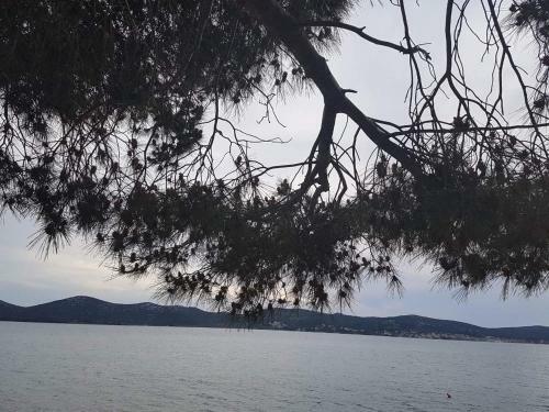 Dalmaris Camp - Prestige Mobile Homes Biograd Na Moru