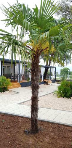 Dalmaris Camp - Prestige Mobile Homes Biograd Na Moru